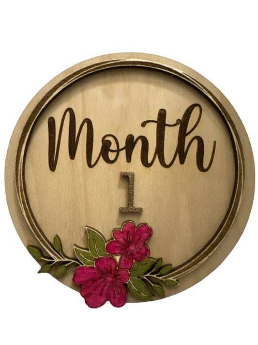 Baby Girl Monthly Milestone Signs